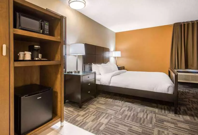 酒店 Quality Inn & Conference Centre