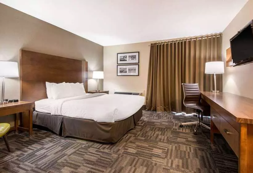 酒店 Quality Inn & Conference Centre