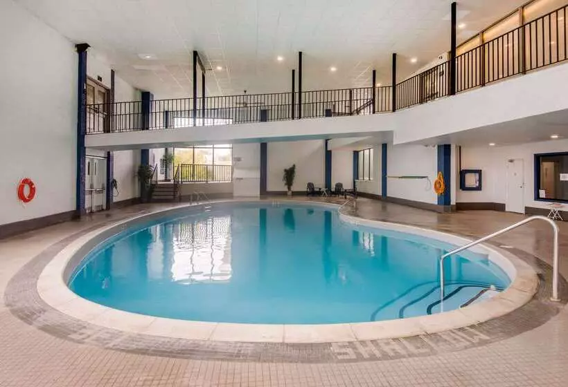 酒店 Quality Inn & Conference Centre