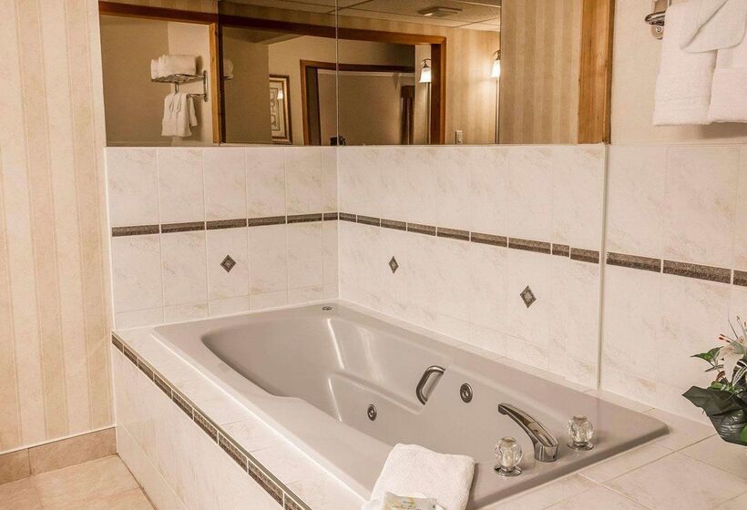 فندق Quality Inn & Conference Centre