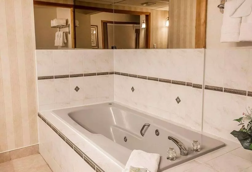 Hotel Quality Inn & Conference Centre