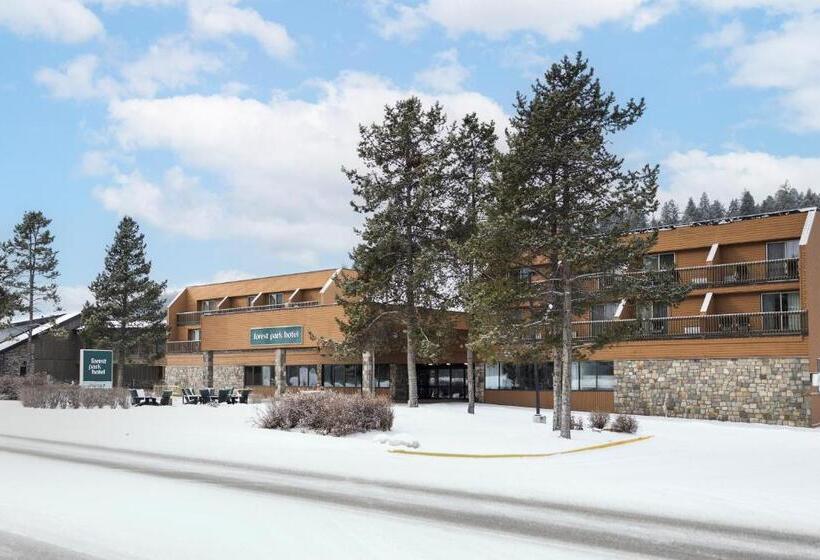 هتل Forest Park