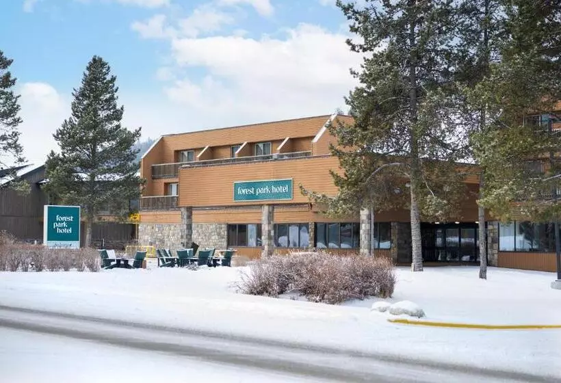 فندق Forest Park