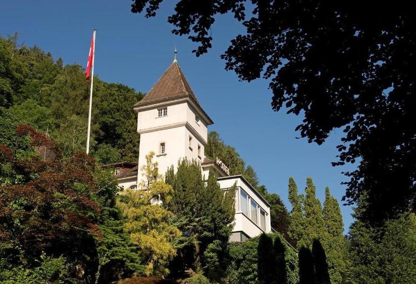 בית מלון כפרי Schloss Ragaz