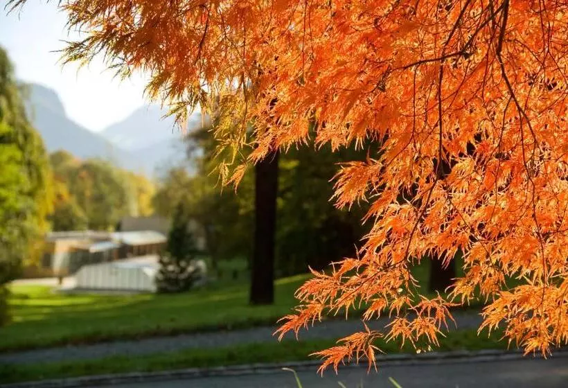 Отель Schloss Ragaz
