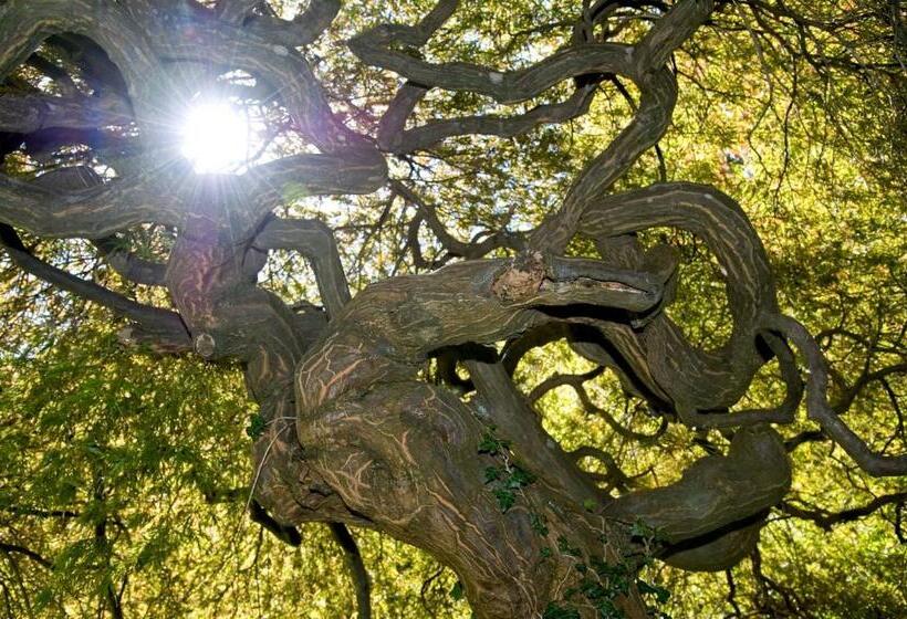 בית מלון כפרי Schloss Ragaz