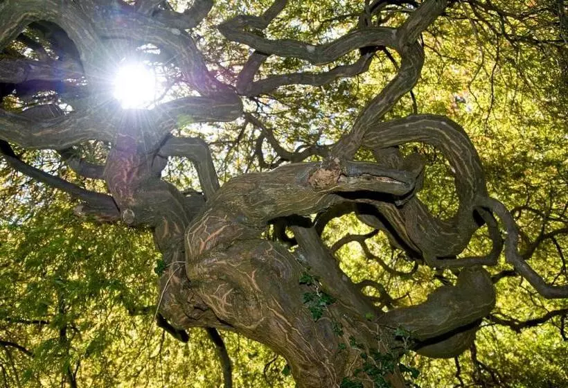 Отель Schloss Ragaz