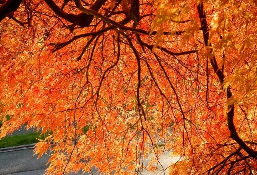 Отель Schloss Ragaz