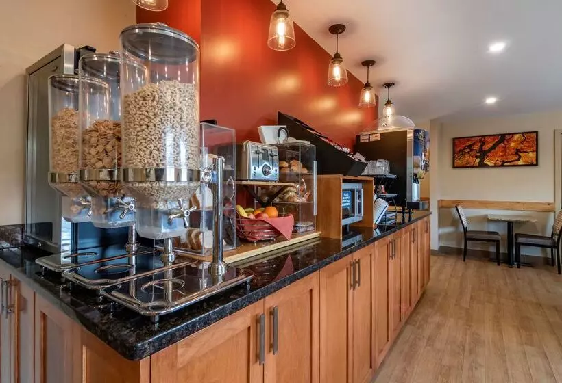 Surestay Plus Hotel By Best Western Salmon Arm