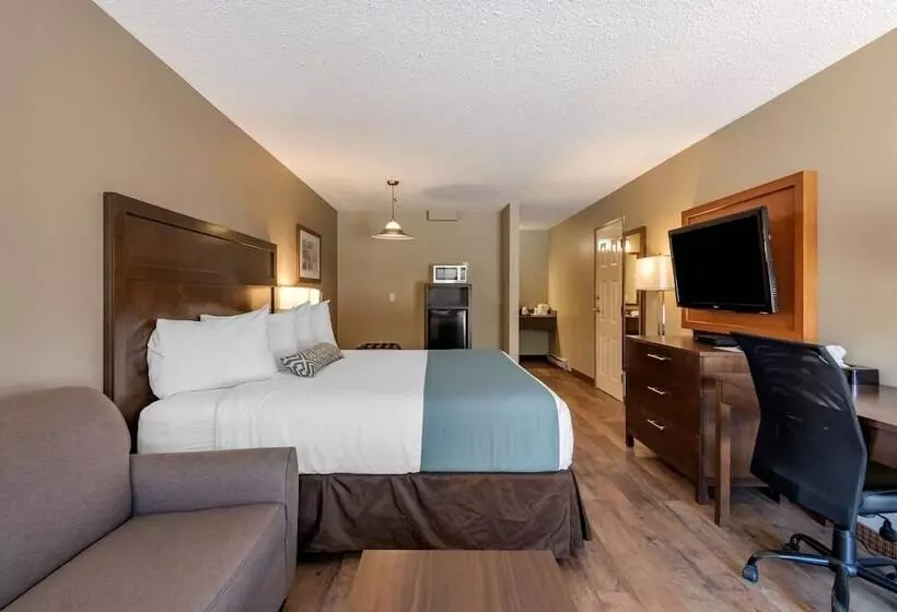 Surestay Plus Hotel By Best Western Salmon Arm
