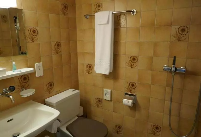 Hotel Terminus Brugg