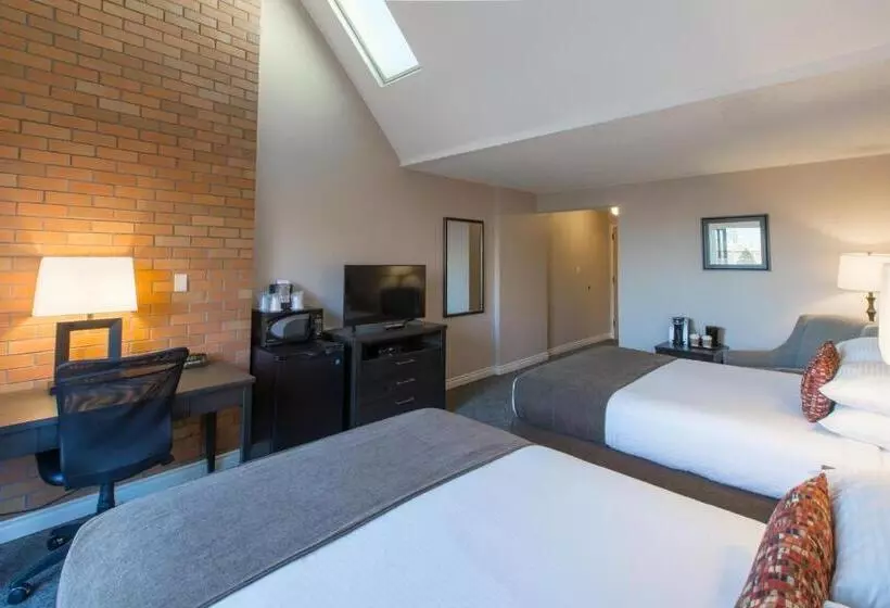 Отель The Embassy Inn