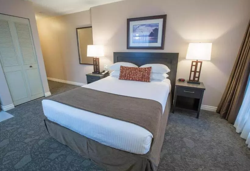 Отель The Embassy Inn