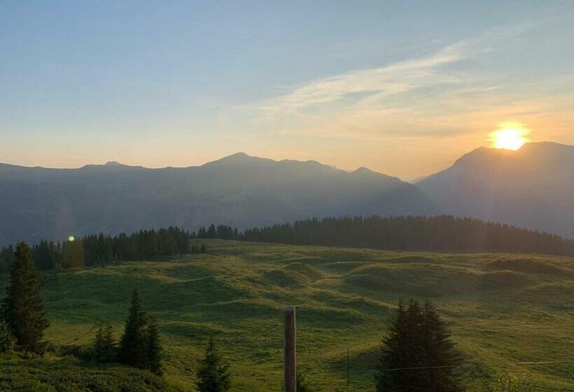 酒店 The Excelsior Arosa