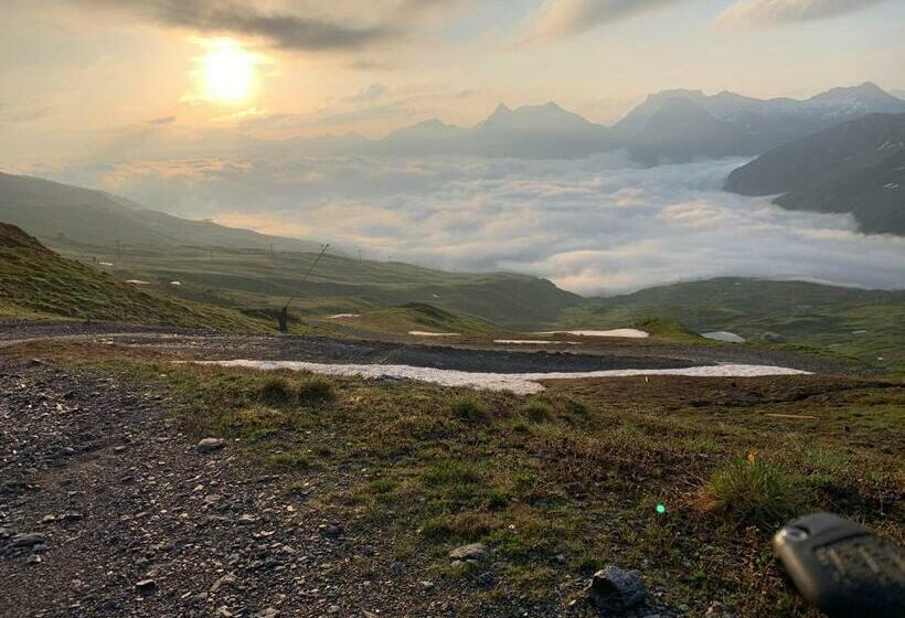 酒店 The Excelsior Arosa