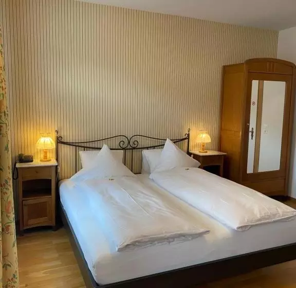 Отель Carltoneurope Vintage Adults