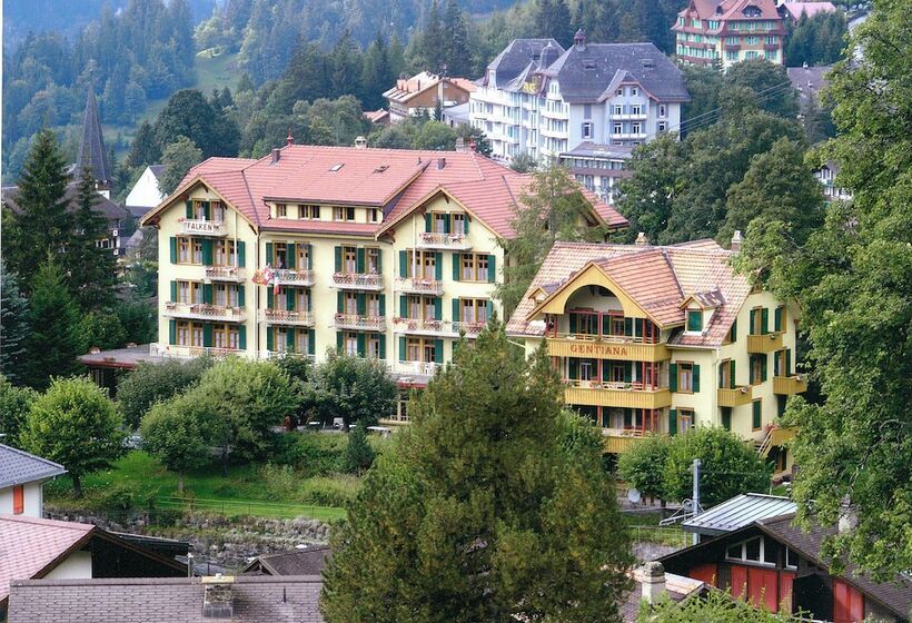 Historic Hotel Falken