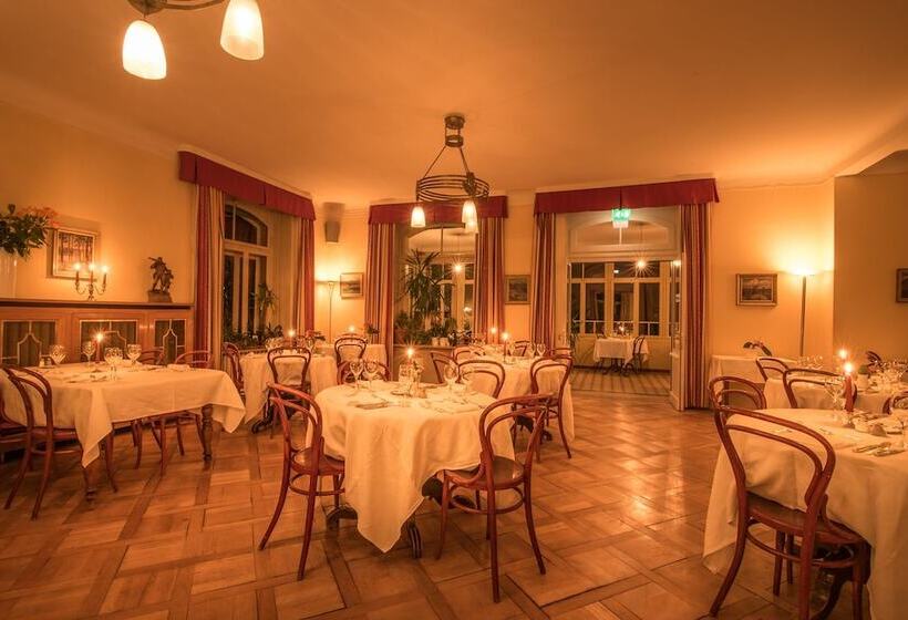 Historic Hotel Falken