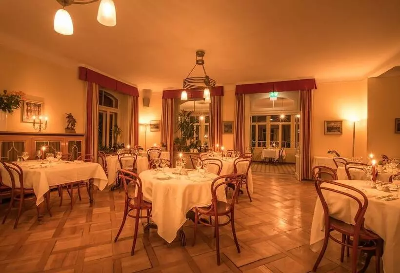 Historic Hotel Falken