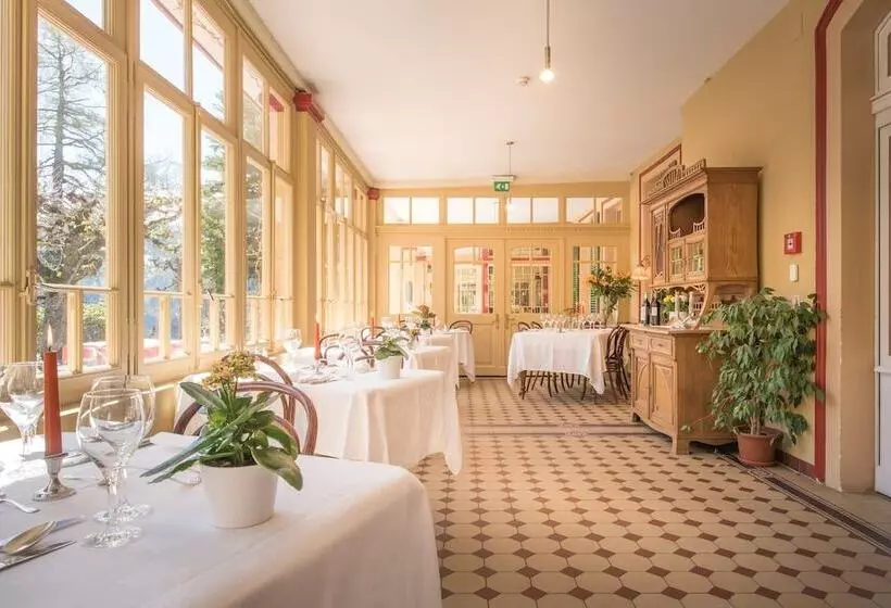 Historic Hotel Falken