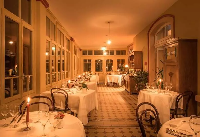 Historic Hotel Falken