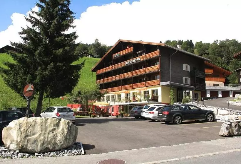 Hotel Grindellodge
