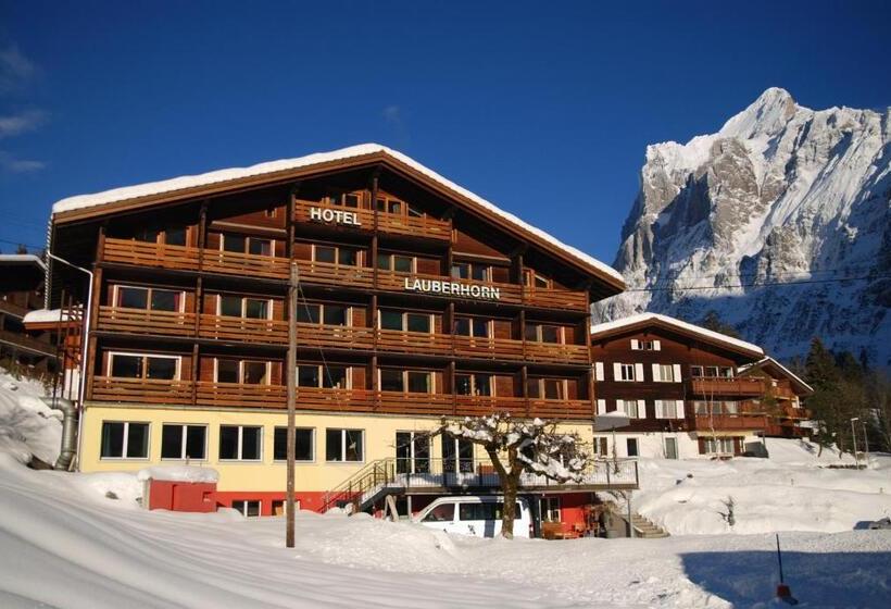 Hotel Grindellodge