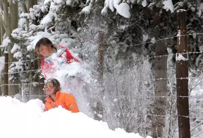 Hotel Posada De Farellones