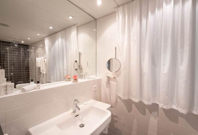 هتل The Ambassador