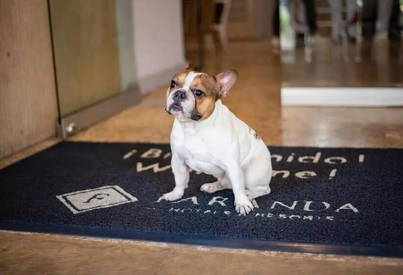 فندق Faranda Express Belvedere