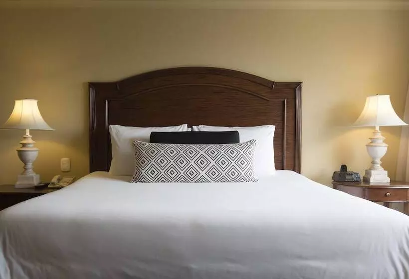 فندق Intercontinental Medellin   Movich, An Ihg