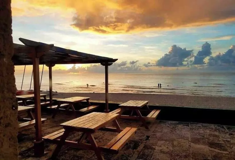 هتل Los Delfines Varadero