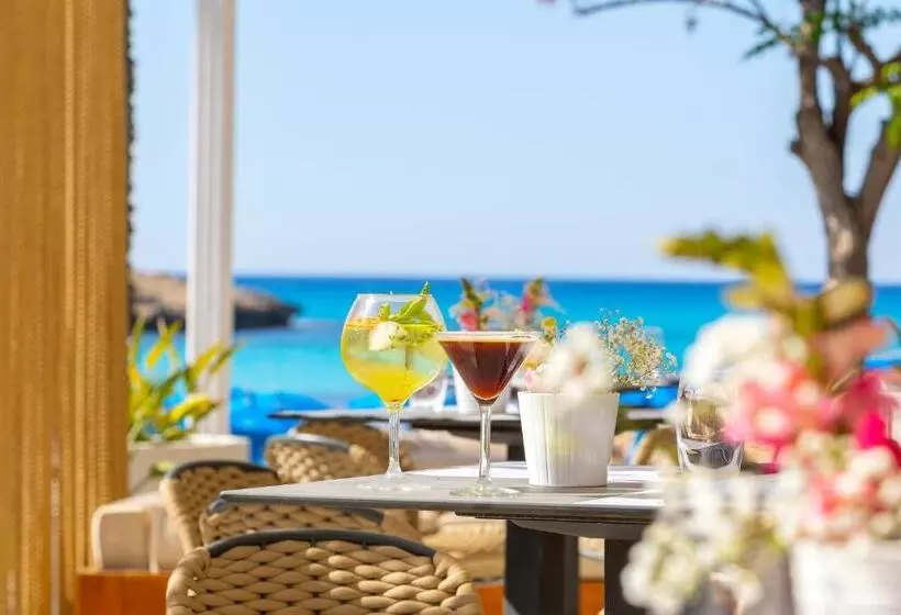 호텔 Pavlo Napa Beach