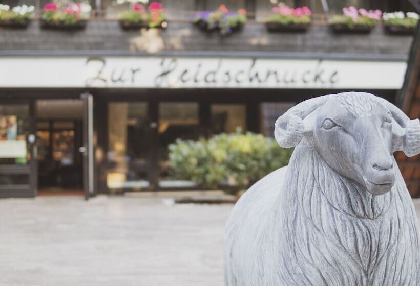 Отель Zur Heidschnucke