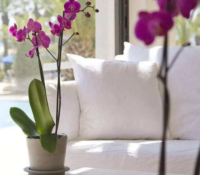 Sandy Beach Hotel & Spa   Ex Sentido