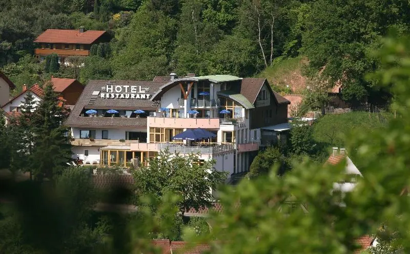 ホテル Am Hirschhorn   Wellness   Spa   And More
