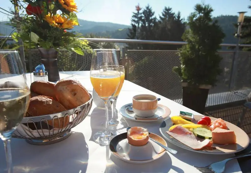 ホテル Am Hirschhorn   Wellness   Spa   And More