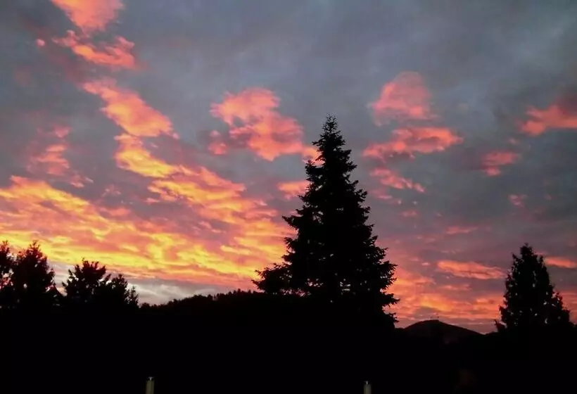 Hotel Am Hirschhorn   Wellness   Spa   And More