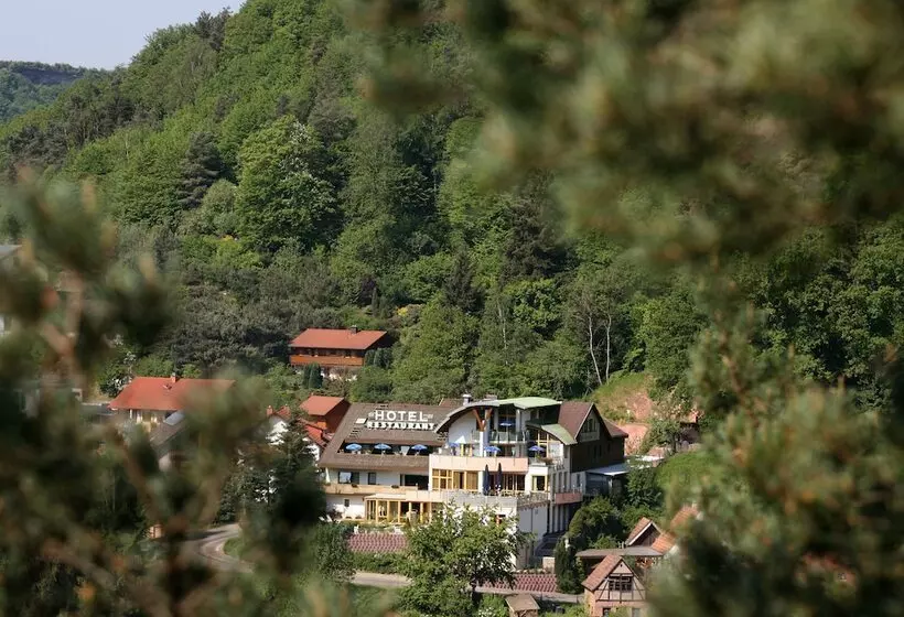 Hotel Am Hirschhorn   Wellness   Spa   And More