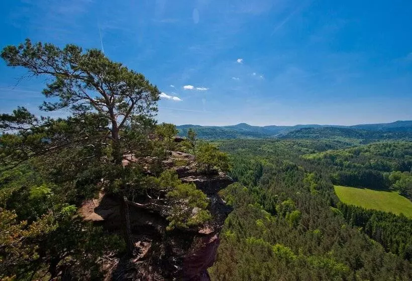 Hotel Am Hirschhorn   Wellness   Spa   And More