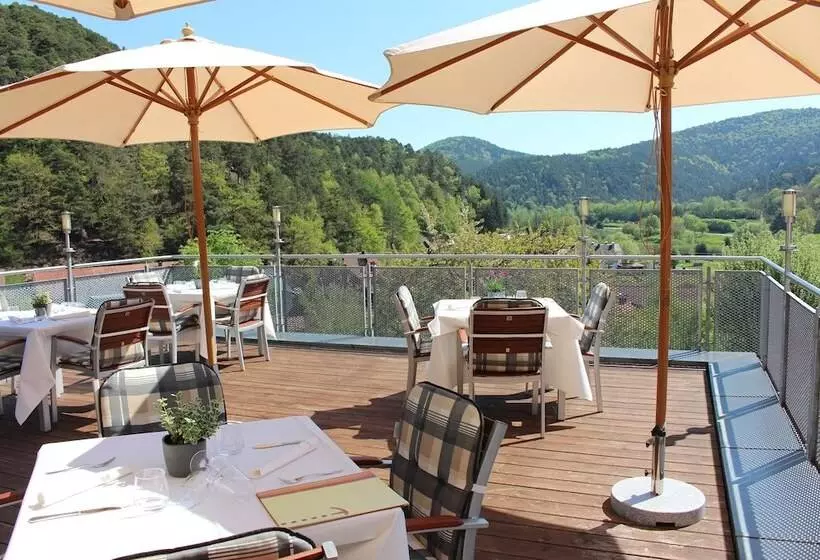 Hotel Am Hirschhorn   Wellness   Spa   And More