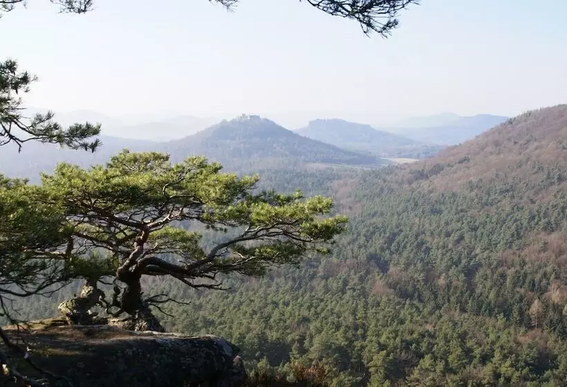 Hotel Am Hirschhorn   Wellness   Spa   And More