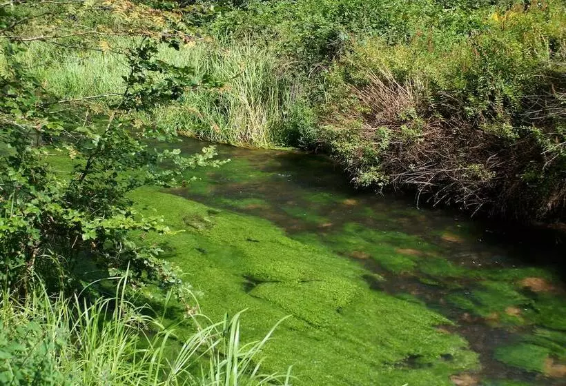 Hotel Am Hirschhorn   Wellness   Spa   And More