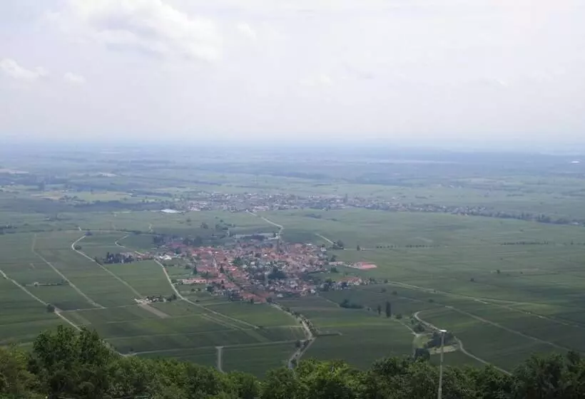 Hotel Am Hirschhorn   Wellness   Spa   And More