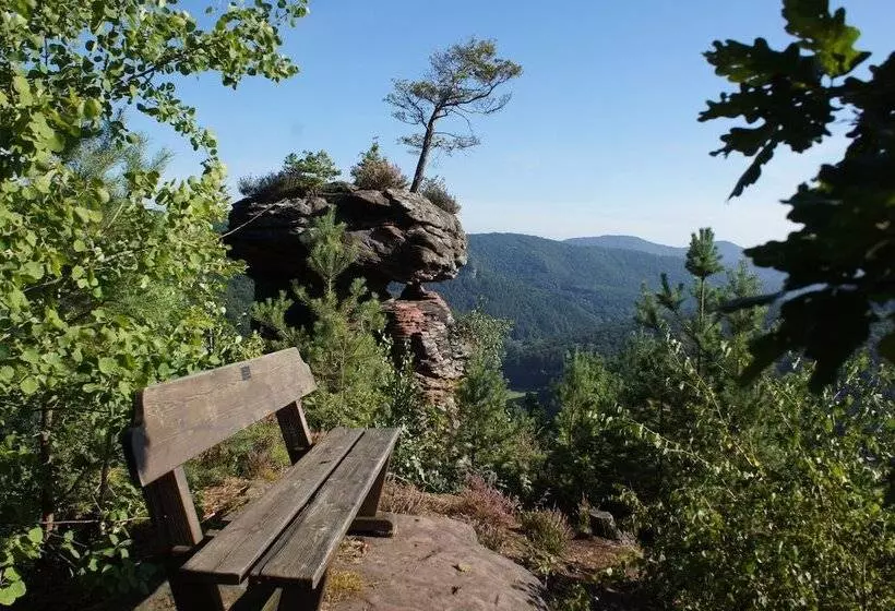 Hotel Am Hirschhorn   Wellness   Spa   And More