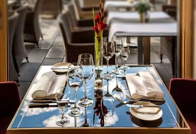 Dorint Thermenhotel Freiburg