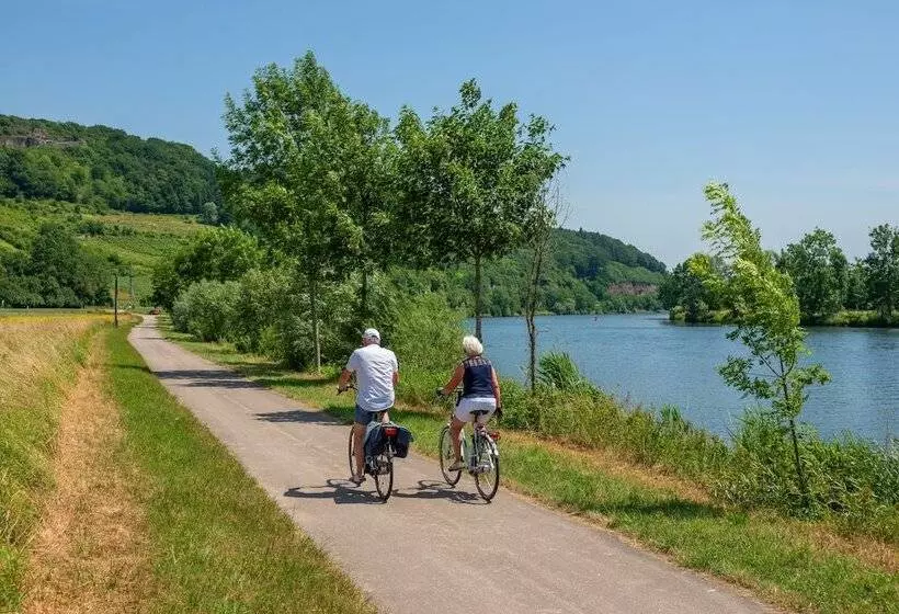 בית מלון כפרי Park