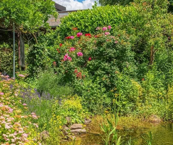 בית מלון כפרי Park