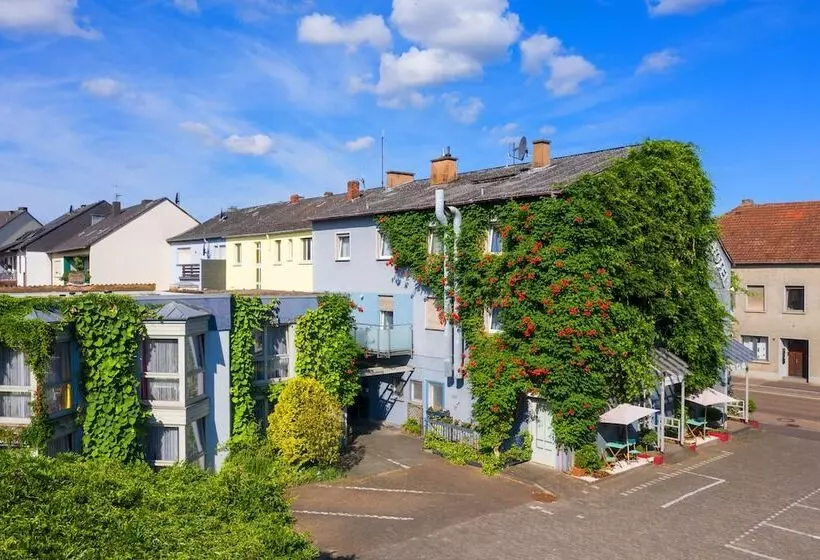 בית מלון כפרי Park