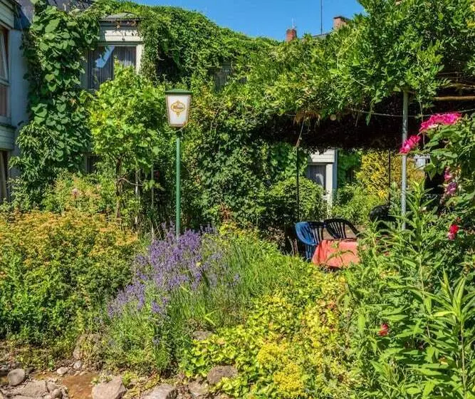 בית מלון כפרי Park